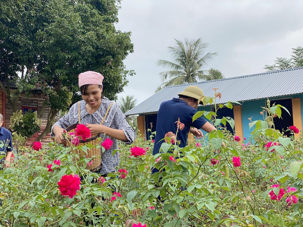 con đường khởi nghiệp