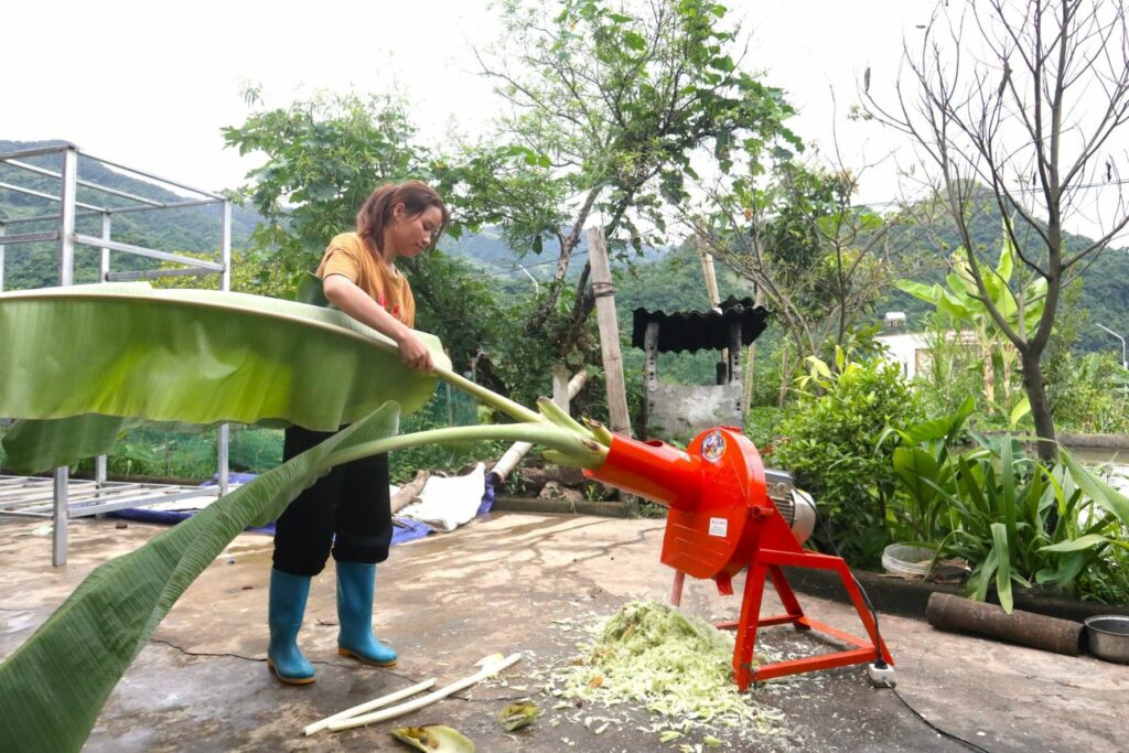 Nâng quyền kinh tế - AWEEV