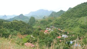 Rừng ở Sơn La - C4G - Forest in Son La